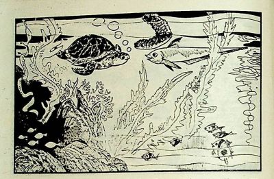 小海龟游大海-湖南美术出版社1981 王琼 胡抗 绘 - 图画吧TUHUABA
