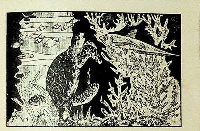 小海龟游大海-湖南美术出版社1981 王琼 胡抗 绘 - 图画吧TUHUABA