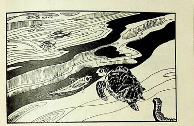 小海龟游大海-湖南美术出版社1981 王琼 胡抗 绘 - 图画吧TUHUABA
