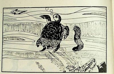 小海龟游大海-湖南美术出版社1981 王琼 胡抗 绘 - 图画吧TUHUABA