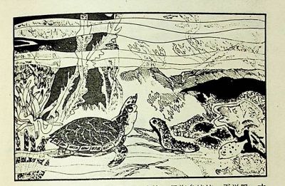 小海龟游大海-湖南美术出版社1981 王琼 胡抗 绘 - 图画吧TUHUABA