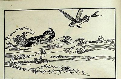 小海龟游大海-湖南美术出版社1981 王琼 胡抗 绘 - 图画吧TUHUABA