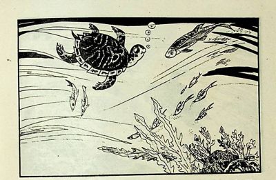 小海龟游大海-湖南美术出版社1981 王琼 胡抗 绘 - 图画吧TUHUABA