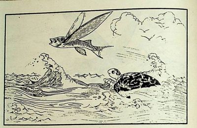 小海龟游大海-湖南美术出版社1981 王琼 胡抗 绘 - 图画吧TUHUABA
