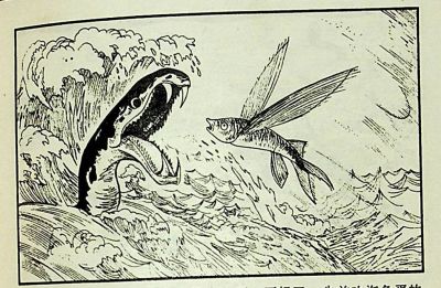 小海龟游大海-湖南美术出版社1981 王琼 胡抗 绘 - 图画吧TUHUABA