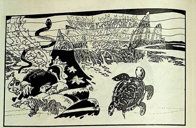 小海龟游大海-湖南美术出版社1981 王琼 胡抗 绘 - 图画吧TUHUABA