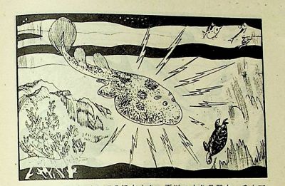 小海龟游大海-湖南美术出版社1981 王琼 胡抗 绘 - 图画吧TUHUABA