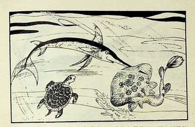 小海龟游大海-湖南美术出版社1981 王琼 胡抗 绘 - 图画吧TUHUABA