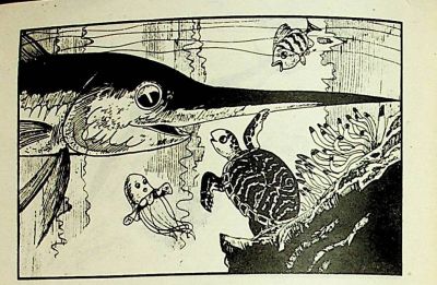小海龟游大海-湖南美术出版社1981 王琼 胡抗 绘 - 图画吧TUHUABA