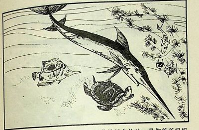 小海龟游大海-湖南美术出版社1981 王琼 胡抗 绘 - 图画吧TUHUABA
