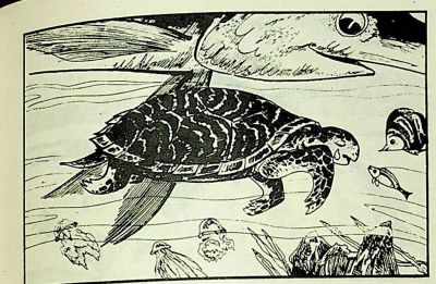小海龟游大海-湖南美术出版社1981 王琼 胡抗 绘 - 图画吧TUHUABA