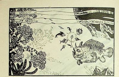 小海龟游大海-湖南美术出版社1981 王琼 胡抗 绘 - 图画吧TUHUABA