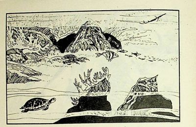 小海龟游大海-湖南美术出版社1981 王琼 胡抗 绘 - 图画吧TUHUABA