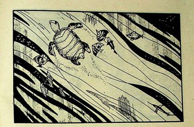 小海龟游大海-湖南美术出版社1981 王琼 胡抗 绘 - 图画吧TUHUABA