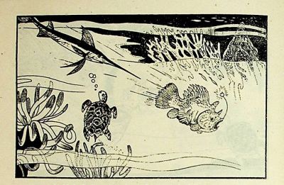 小海龟游大海-湖南美术出版社1981 王琼 胡抗 绘 - 图画吧TUHUABA