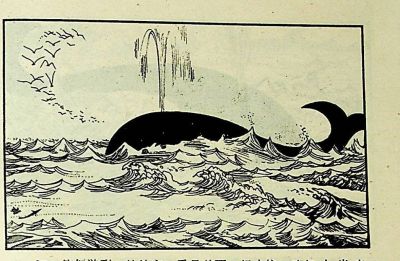 小海龟游大海-湖南美术出版社1981 王琼 胡抗 绘 - 图画吧TUHUABA