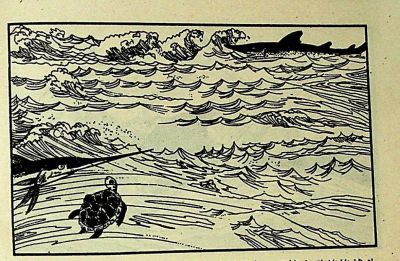 小海龟游大海-湖南美术出版社1981 王琼 胡抗 绘 - 图画吧TUHUABA