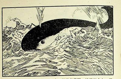 小海龟游大海-湖南美术出版社1981 王琼 胡抗 绘 - 图画吧TUHUABA