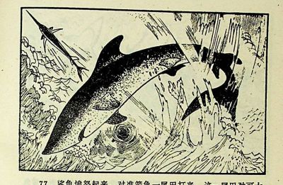 小海龟游大海-湖南美术出版社1981 王琼 胡抗 绘 - 图画吧TUHUABA