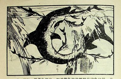 小海龟游大海-湖南美术出版社1981 王琼 胡抗 绘 - 图画吧TUHUABA