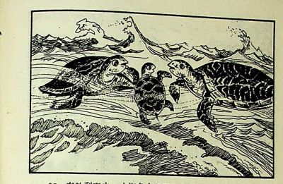 小海龟游大海-湖南美术出版社1981 王琼 胡抗 绘 - 图画吧TUHUABA