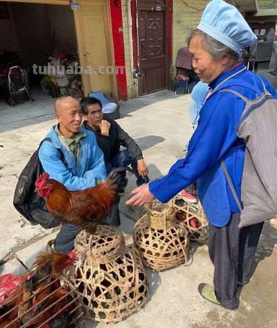 AI水彩效果怎么搞?实操演练,进来给你看! - 今日头条 AI水彩效果怎么搞?实操演练,进来给你看! - 图画吧TUHUABA