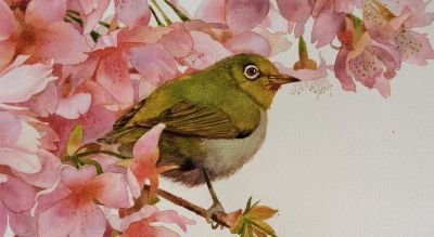 水彩小花鸟 - 今日头条