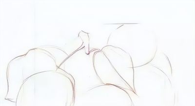 彩铅水果教程 | 黄杏的画法步骤图,彩铅画入门水果 - 今日头条 彩铅水果教程 | 黄杏的画法步骤图,彩铅画入门水果 - 图画吧TUHUABA