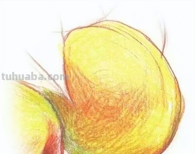 彩铅水果教程 | 黄杏的画法步骤图,彩铅画入门水果 - 今日头条 彩铅水果教程 | 黄杏的画法步骤图,彩铅画入门水果 - 图画吧TUHUABA