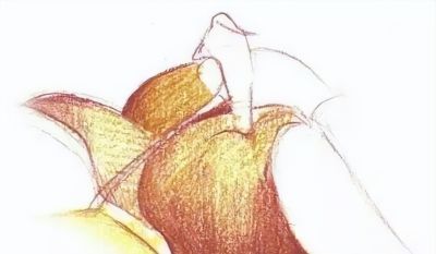 彩铅水果教程 | 黄杏的画法步骤图,彩铅画入门水果 - 今日头条 彩铅水果教程 | 黄杏的画法步骤图,彩铅画入门水果 - 图画吧TUHUABA