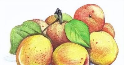 彩铅水果教程 | 黄杏的画法步骤图,彩铅画入门水果 - 今日头条 彩铅水果教程 | 黄杏的画法步骤图,彩铅画入门水果 - 图画吧TUHUABA