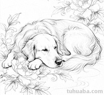 素描集丨万物皆可描绘 - 今日头条