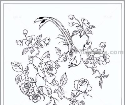 素描集丨万物皆可描绘 - 图画吧TUHUABA