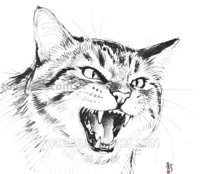 素描集丨万物皆可描绘 - 图画吧TUHUABA