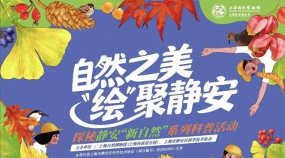 【自然之美 绘聚静安】自然笔记优秀作品诞生啦！ - 今日头条