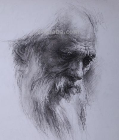 全国画室都在学的素描体系 || 袁亮 - 图画吧TUHUABA