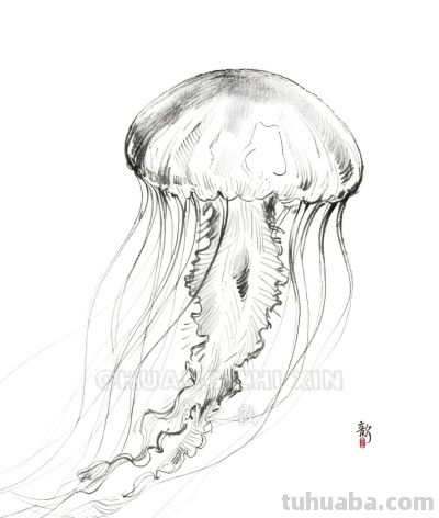 素描集丨兽影纵横，灵韵天成 - 图画吧TUHUABA