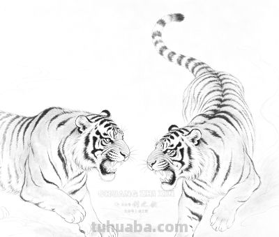 素描集丨兽影纵横，灵韵天成 - 图画吧TUHUABA