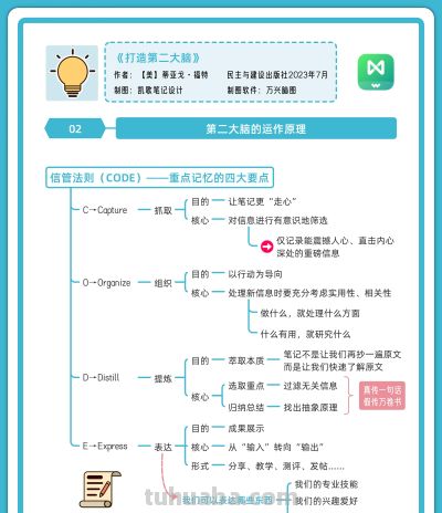 两张思维导图，教你让笔记为大脑赋能 - 图画吧TUHUABA