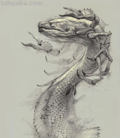 画了这么多年素描,居然有这么多的风格 - 今日头条 画了这么多年素描,居然有这么多的风格 - 图画吧TUHUABA