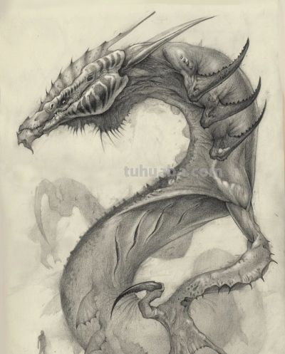 画了这么多年素描,居然有这么多的风格 - 今日头条 画了这么多年素描,居然有这么多的风格 - 图画吧TUHUABA