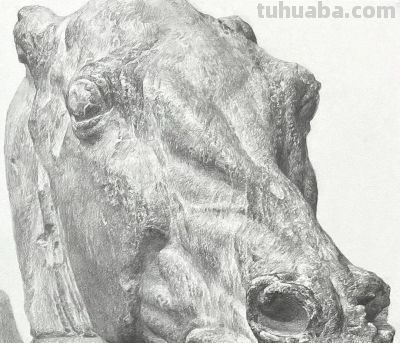 日本精微素描高分卷秒杀央美，网友：太灰了，联考肯定不过 - 图画吧TUHUABA