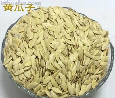 种黄瓜不求人，家庭菜园高效种植法！ - 今日头条