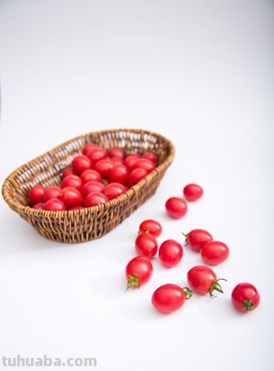 居家种菜小技巧，花盆就能种，吃菜不用花钱买 - 图画吧TUHUABA
