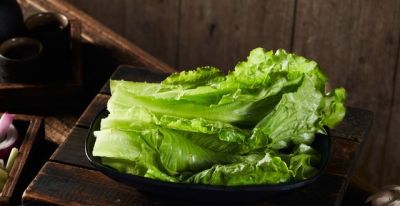 居家种菜小技巧，花盆就能种，吃菜不用花钱买 - 图画吧TUHUABA