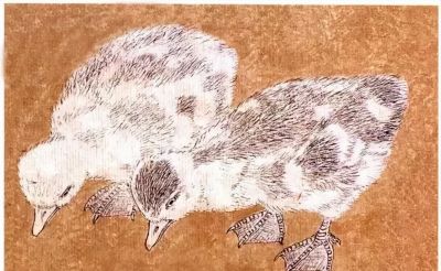 教程 | 各种工笔禽鸟的画法 - 图画吧TUHUABA