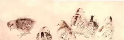 教程 | 各种工笔禽鸟的画法 - 图画吧TUHUABA
