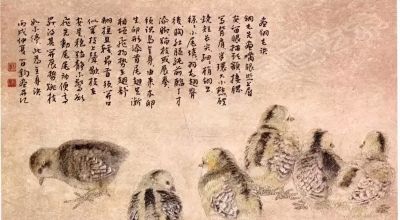 教程 | 各种工笔禽鸟的画法 - 图画吧TUHUABA