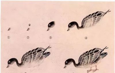 教程 | 各种工笔禽鸟的画法 - 图画吧TUHUABA