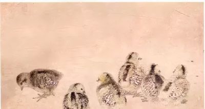 教程 | 各种工笔禽鸟的画法 - 图画吧TUHUABA